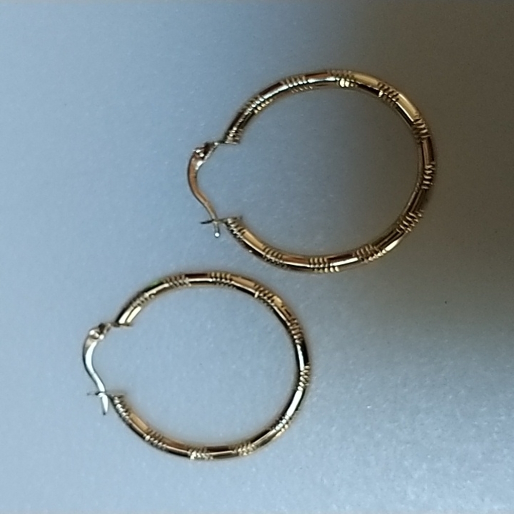 Brandnew earrings